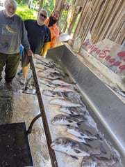 Fishing in D'Iberville, Mississippi