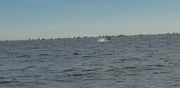 Fishing in Freeport, New York