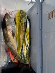 Fishing in Miami, Florida