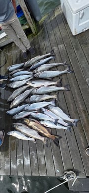 Fishing in Newaygo, Michigan