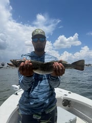 Fishing in Tampa, Florida