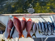 Fishing in Key Largo, Florida