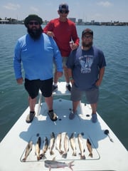 Hardhead Catfish, Speckled Trout Fishing in South Padre Island, Texas