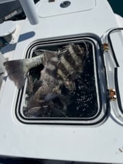 Fishing in Morehead City, North Carolina