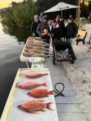Fishing in Holiday, Florida