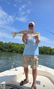 Fishing in Sarasota, Florida