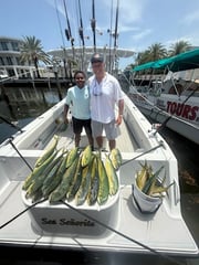 Fishing in Tavernier, Florida