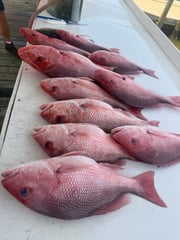 Fishing in Gulf Shores, Alabama