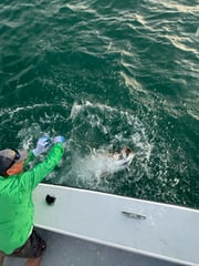 Fishing in Holmes Beach, Florida