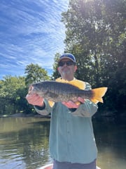 Fishing in Strasburg, Virginia