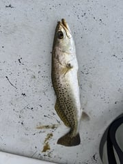 Fishing in Aransas Pass, Texas