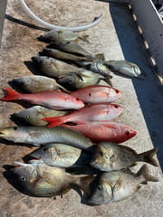 Fishing in Fort Lauderdale, Florida