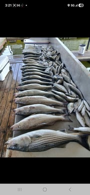 Fishing in Kingston, Oklahoma