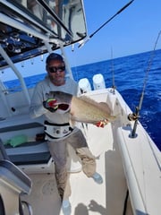 Fishing in Sarasota, Florida
