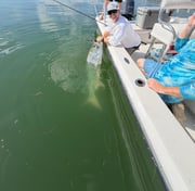 Fishing in Indian Rocks Beach, Florida