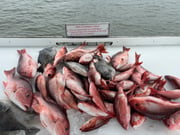 Fishing in Foley, Alabama