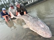 Fishing in Fraser Valley, Canada
