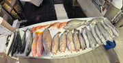 Fishing in Key West, Florida