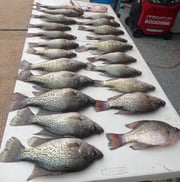 Fishing in Willis, Texas