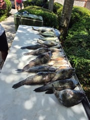 Fishing in St. Marys, Georgia