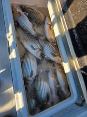 Fishing in Tolar, Texas