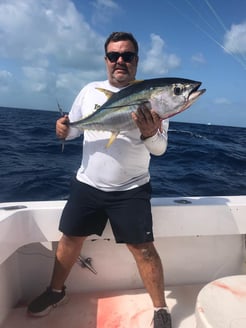 Fishing in Key Biscayne