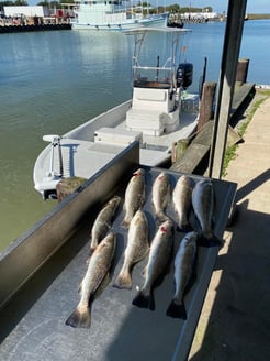 Fishing in Texas City