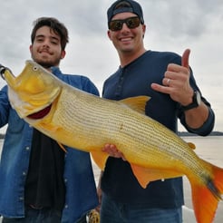 Fishing in Young