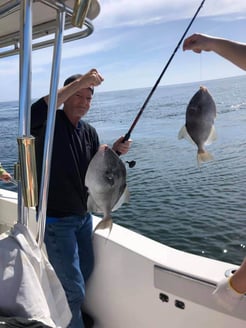 Fishing in Orange Beach