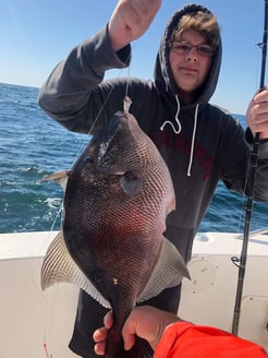 Fishing in Orange Beach