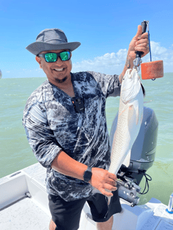 Fishing in Port Isabel