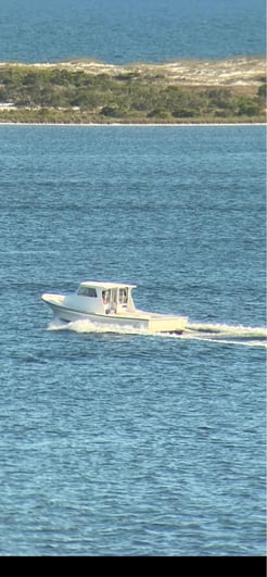 Fishing in Pensacola