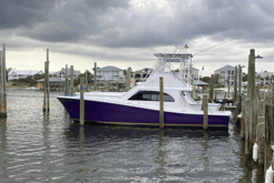 Fishing in Orange Beach