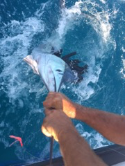 Fishing in West Palm Beach