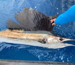 Fishing in West Palm Beach