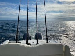 Fishing in Orange Beach