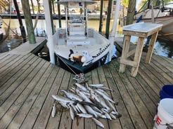 Fishing in New Orleans