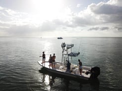 Fishing in Sarasota