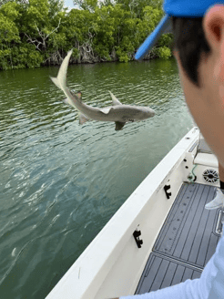 Fishing in Key Largo