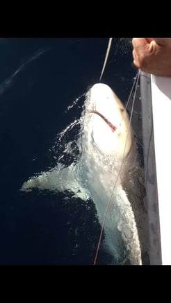 Fishing in Key Largo