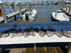 Fishing in Gulf Shores