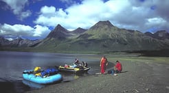 Fishing in King Salmon