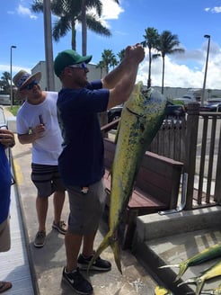 Fishing in Lantana