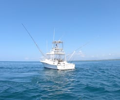 Fishing in Puerto Jiménez