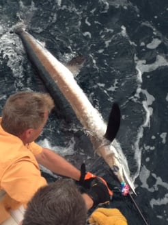 Fishing in Riviera Beach