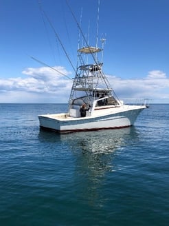 Fishing in Montauk