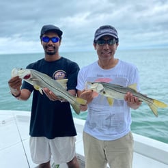 Fishing in Sarasota