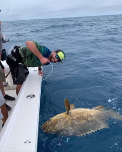 Fishing in Sarasota