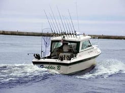 Fishing in Manistee