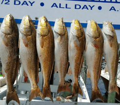 Fishing in Biloxi